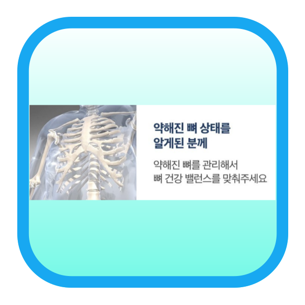 콘드로이친 3가지 종류 추천 구매정보 및 가격 알아보기