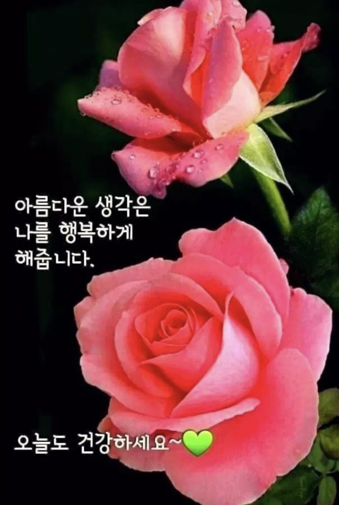 수요일 아침인사말 이미지 12가지 총정리