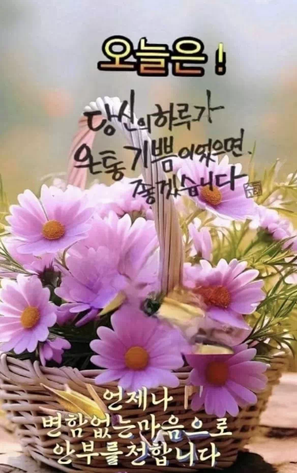 수요일 아침인사말 이미지 12가지 총정리