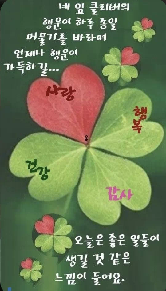 수요일 아침인사말 이미지 12가지 총정리
