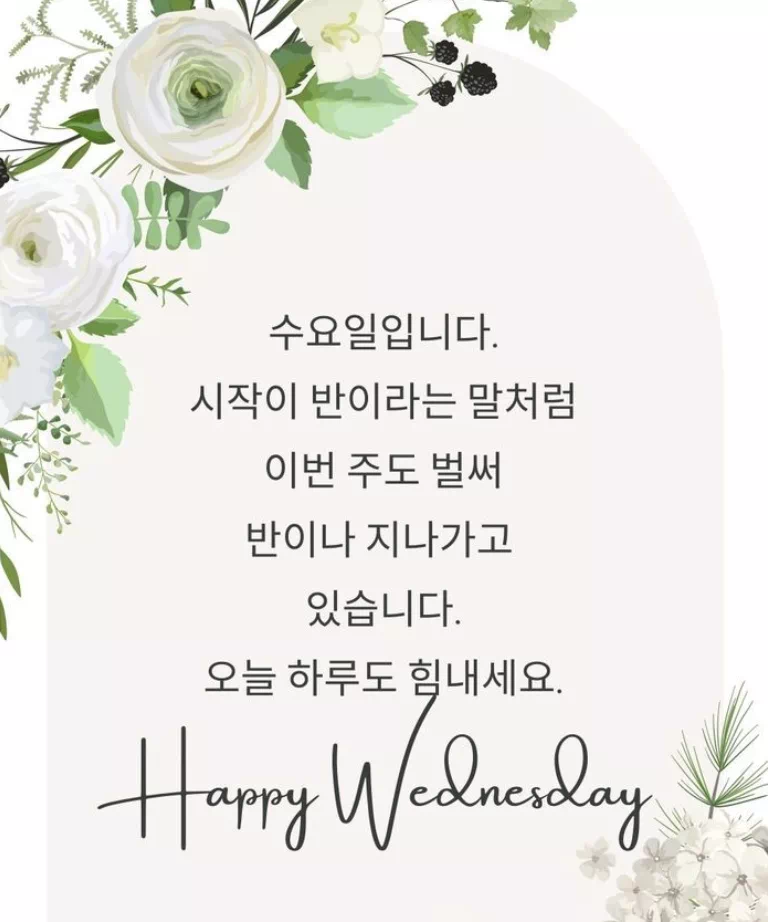 수요일 아침인사말 이미지 12가지 총정리