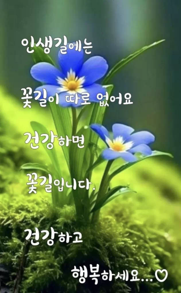 수요일 아침인사말 이미지 12가지 총정리