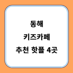 동해 키즈카페 추천 키카 핫플 4곳