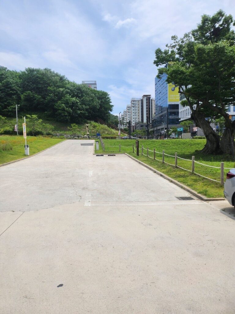 image 355 8