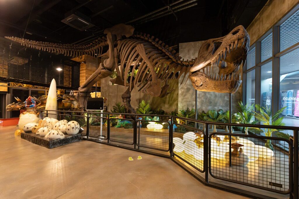 image 388 14