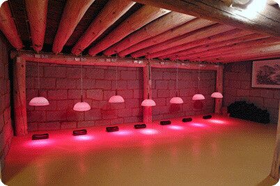 image 84 7