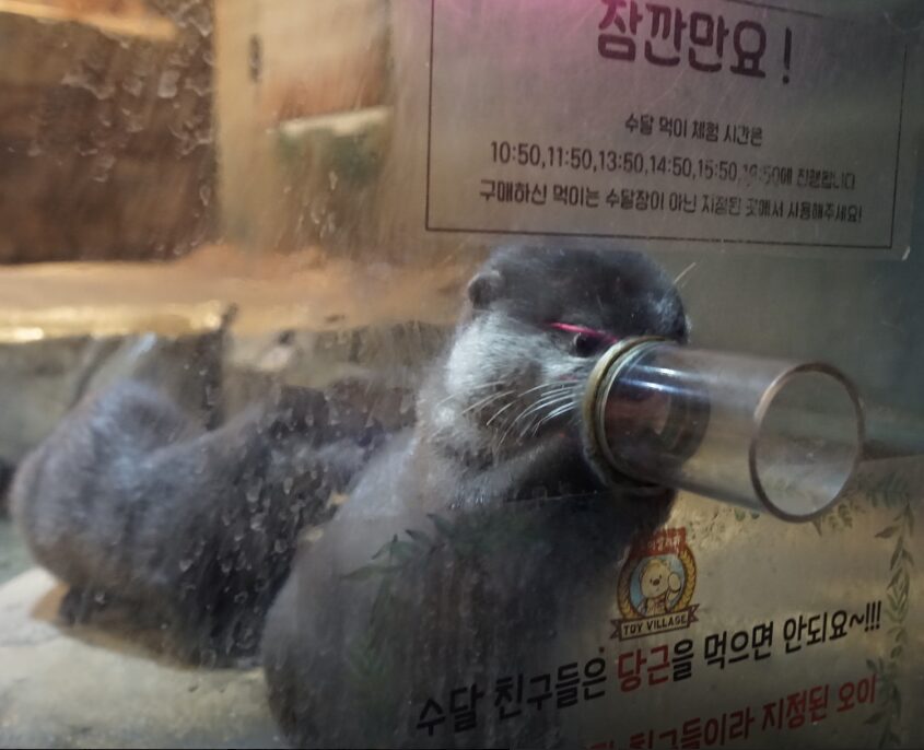 image 94 4